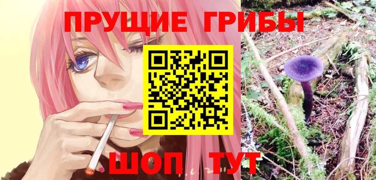 Псилоцибиновые грибы мухоморы Алексин